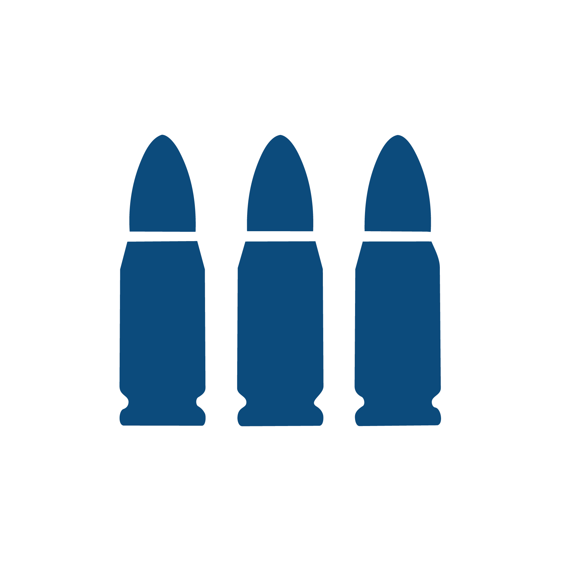 Firearm Rights Service Icon